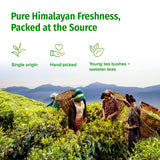 NEPAL TEA Organic Green Tea Loose Leaf - From a Family Farm in the Himalayas - Award-Winning Premium Green Tea Leaves Loose Leaf - 3.5oz /100g