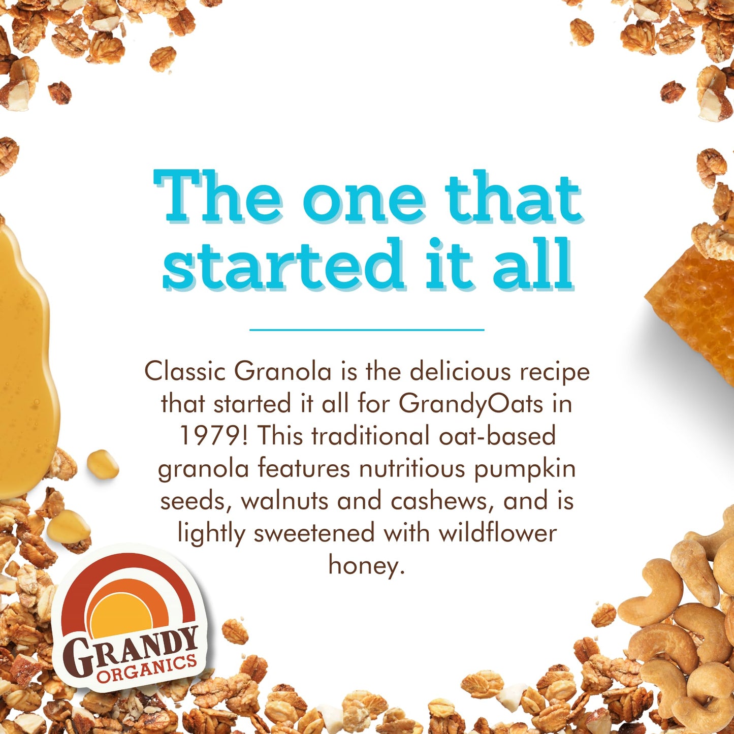 Grandy Organics 10lb Bulk Classic Granola - Certified Organic & Low Sugar Granola - 8g Protein - Non GMO & Dairy Free - Oats, Pumpkin Seeds, Cashews