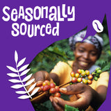 Ethical Bean Lush Medium Dark Roast Fairtrade Organic Whole Bean Coffee, 12 oz Bag