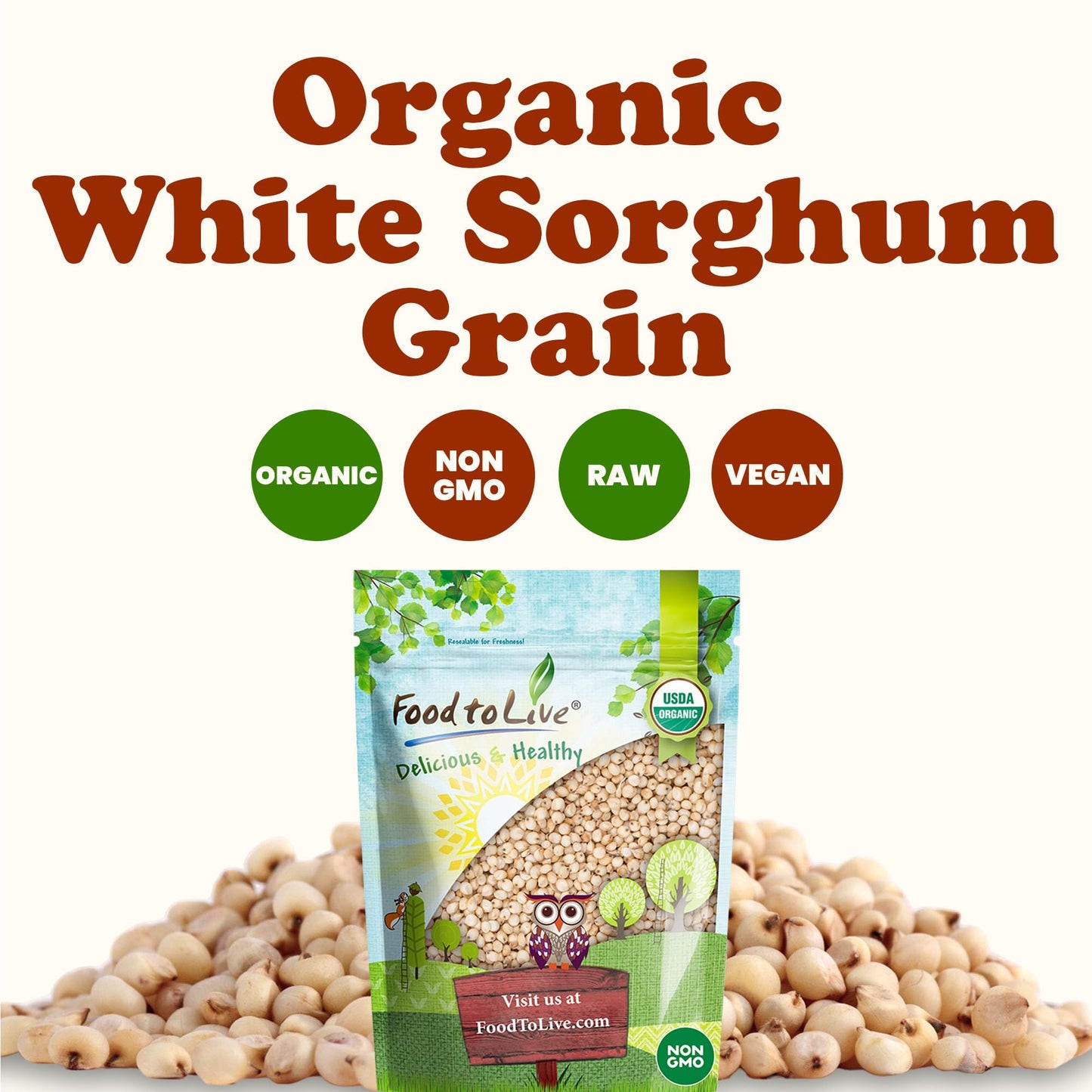 Food to Live Organic Great Plains White Sorghum Grain, 6 Pounds - Whole Ancient Groats. High Fiber. No-GMO. Raw Milo Seeds. Vegan, Kosher, Bulk