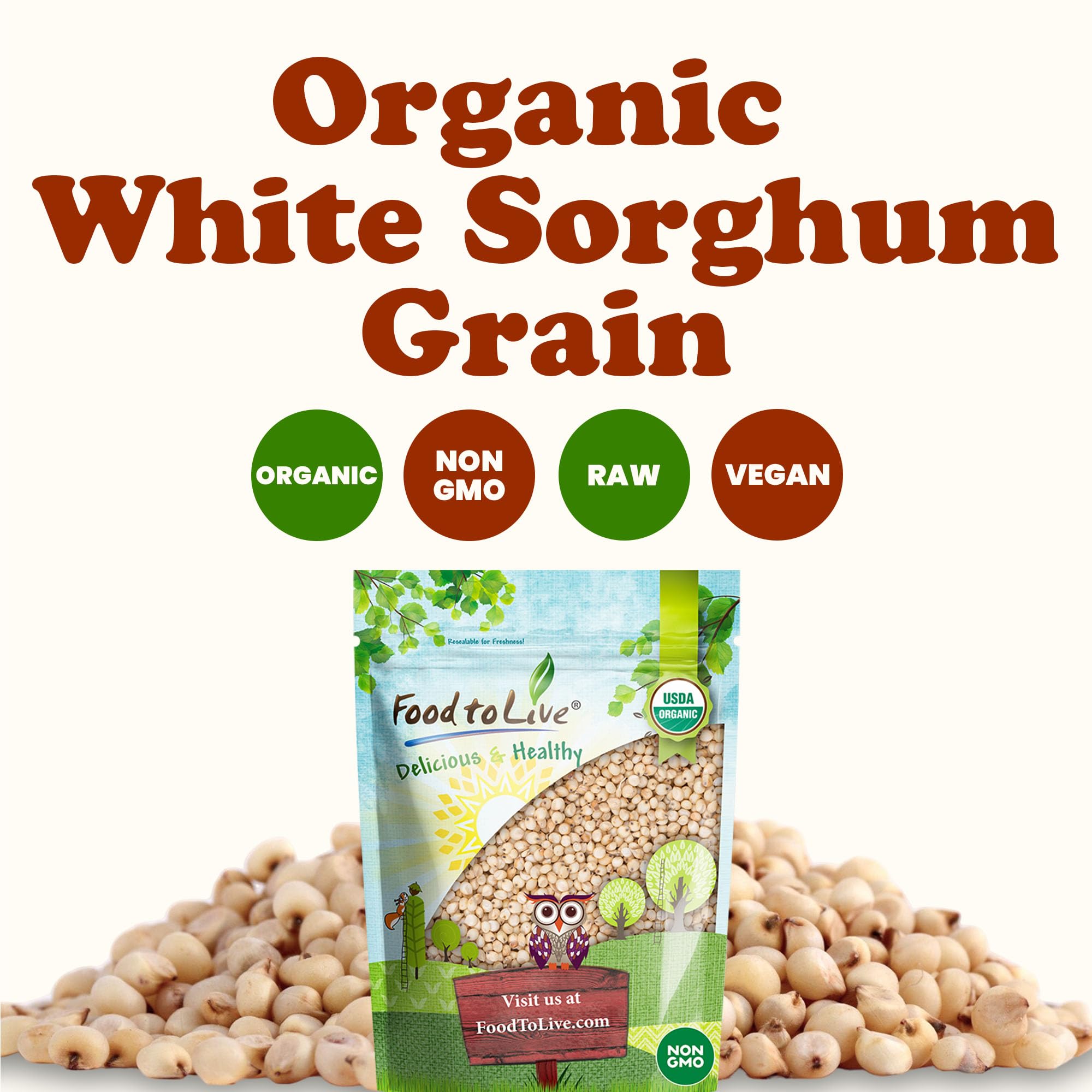 Food to Live Organic Great Plains White Sorghum Grain, 6 Pounds - Whole Ancient Groats. High Fiber. No-GMO. Raw Milo Seeds. Vegan, Kosher, Bulk