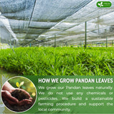 FreshDrinkUS, Premium 4.5oz Natural Pandan Leaves Dried, 100% Pure Dried Pandan Leaves, Pandan Leaf Tea, No Additives, No Caffeine, Vegan