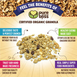 Pure Bliss Organics No Sugar Buzz Cashew Raisin Granola, Certified Organic and Gluten Free, Vegan, Non GMO, Low Glycemic, Low Sugar Alternative, Date