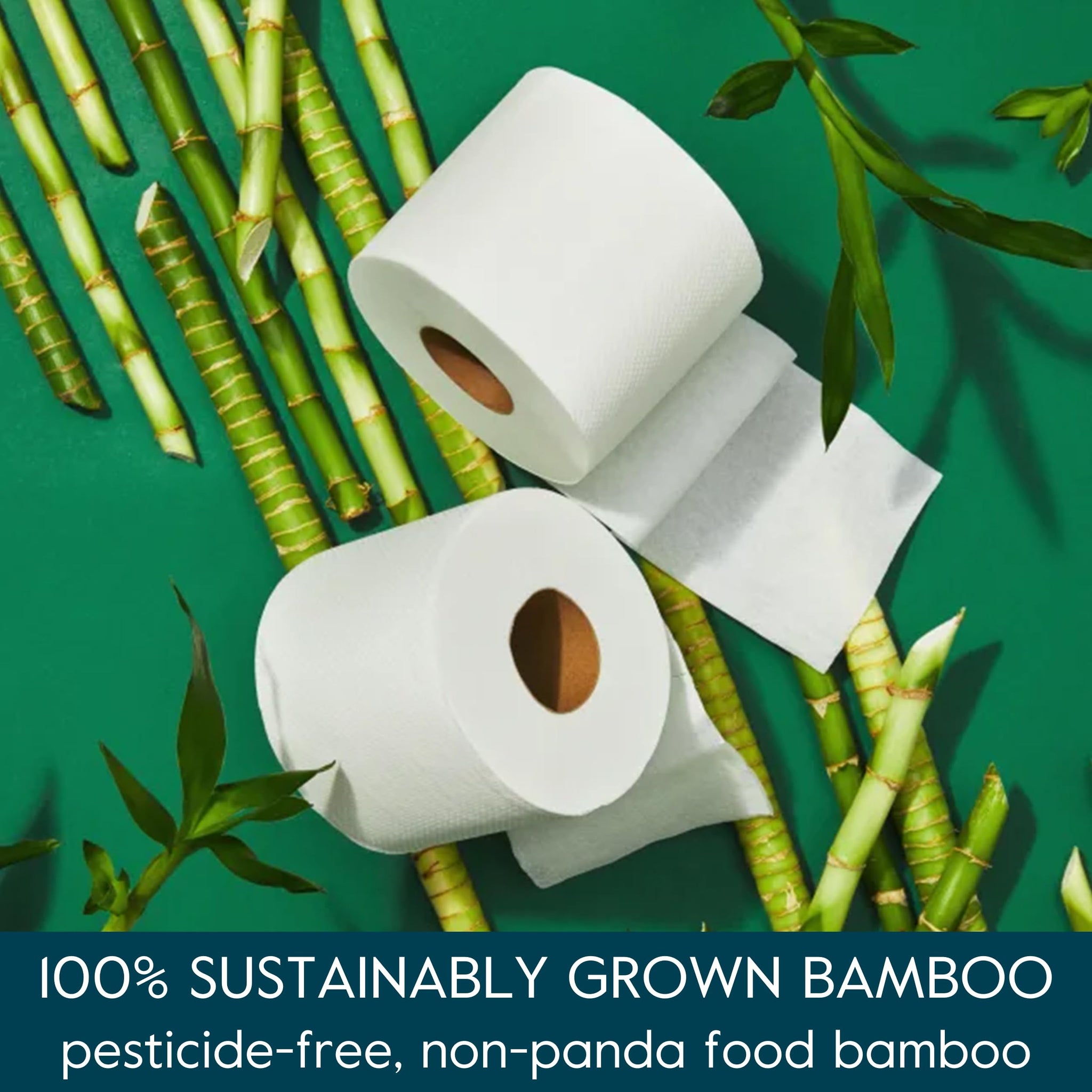 Grove Co. Bamboo Toilet Paper Tree Free & Septic Safe Bath Tissue, Ultra Soft, Durable, & Absorbent 3 Ply Sheets (1 Roll = 44.4 sq ft) Bulk Toilet