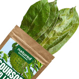 Premium Guanabana Soursop Dried Leaves 200+ Hojas De Guanabana - Wildcrafted Graviola Leaf - 100% Natural Caffeine-Free Herbal Tea Loose Leaves