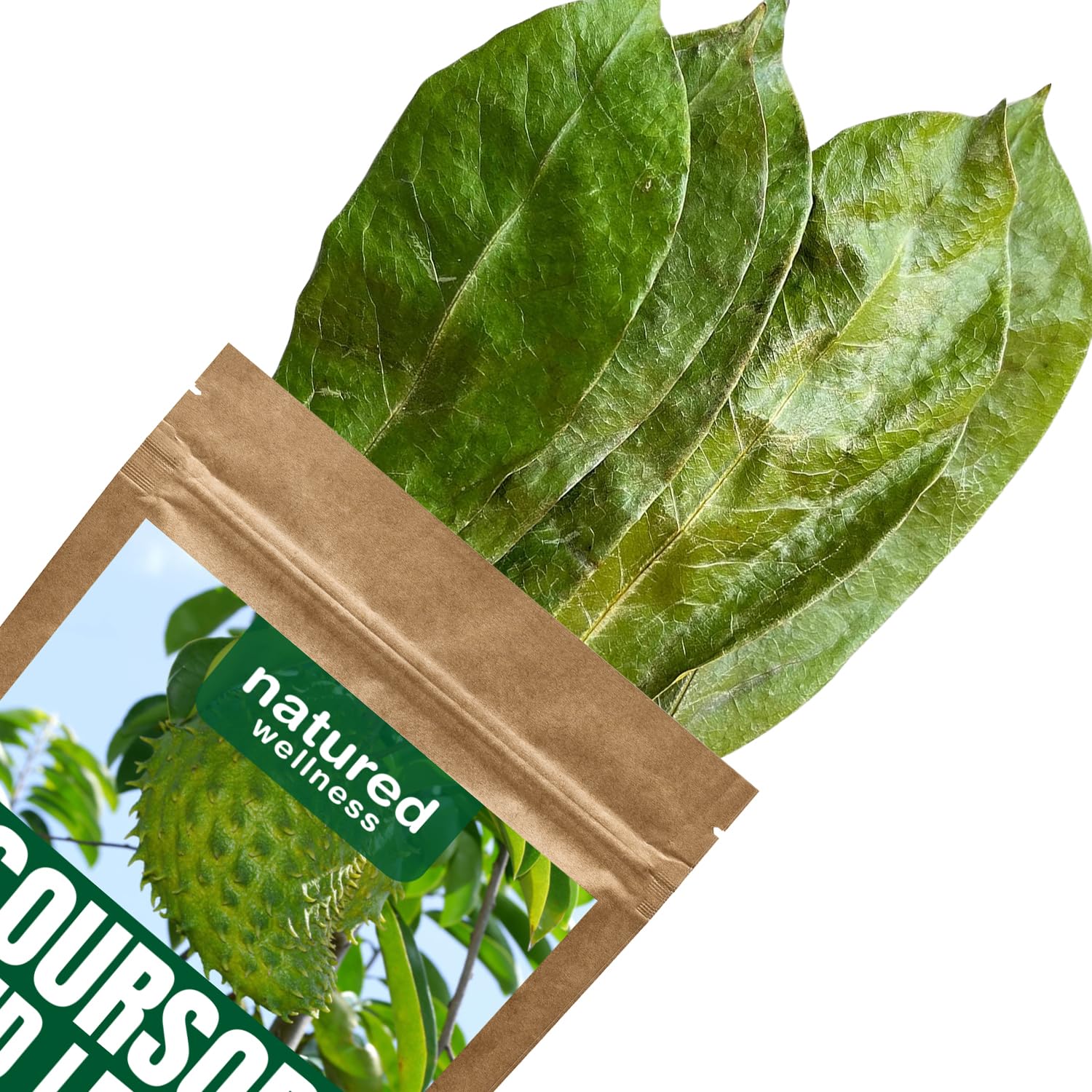Premium Guanabana Soursop Dried Leaves 200+ Hojas De Guanabana - Wildcrafted Graviola Leaf - 100% Natural Caffeine-Free Herbal Tea Loose Leaves