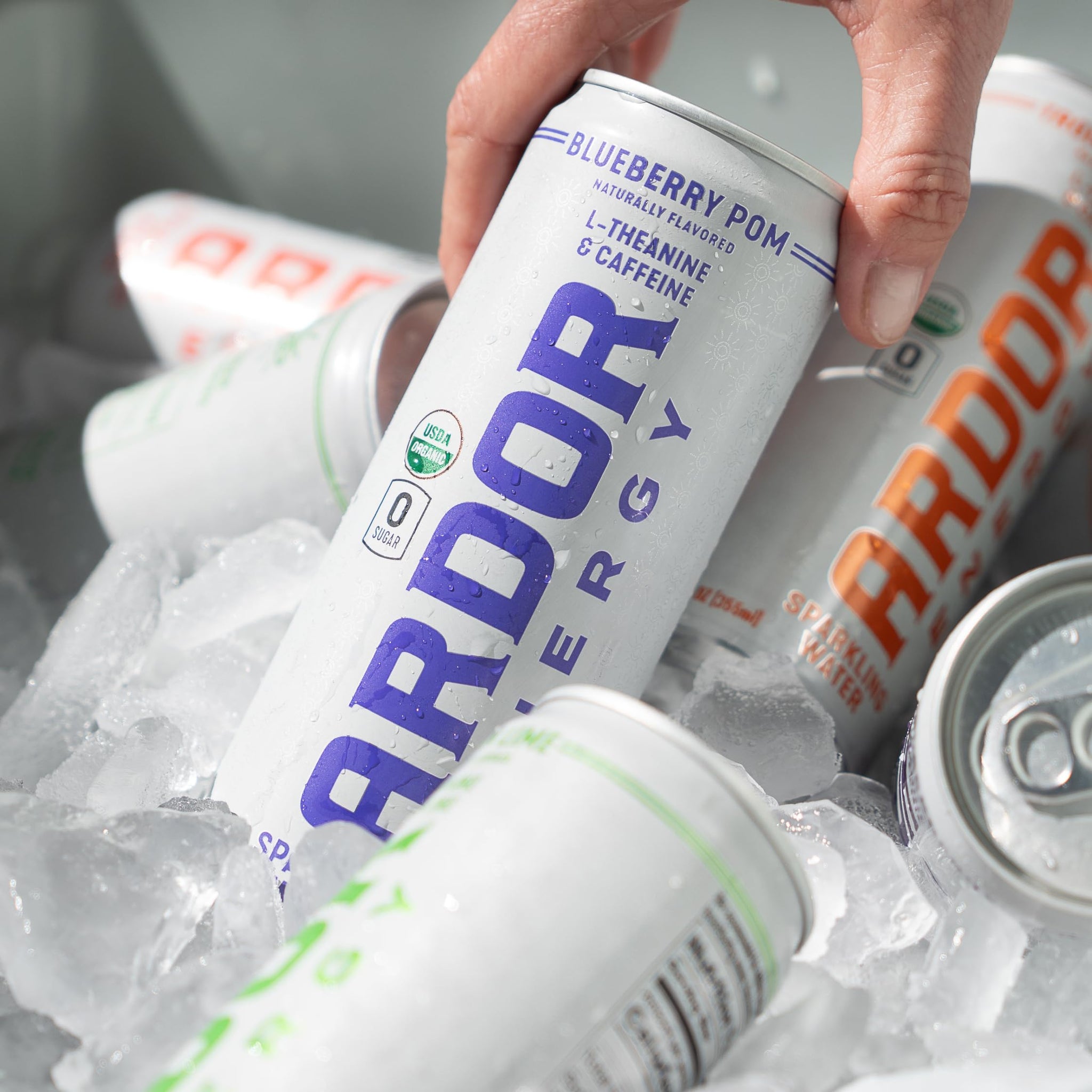 ARDOR ENERGY Sparkling Water with 100mg Natural Caffeine & 200mg L-Theanine from Organic Green Tea for Smooth Energy & Focus | Healthy Energy Drink |