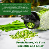 NPG Freeze-Dried Chives 2 Oz, Dehydrated Chopped Chives, Mild Onion Herb for Cooking, Soup, Ramen, Stir Fry & Garnish, Non-GMO, Gluten-Free Seasoning