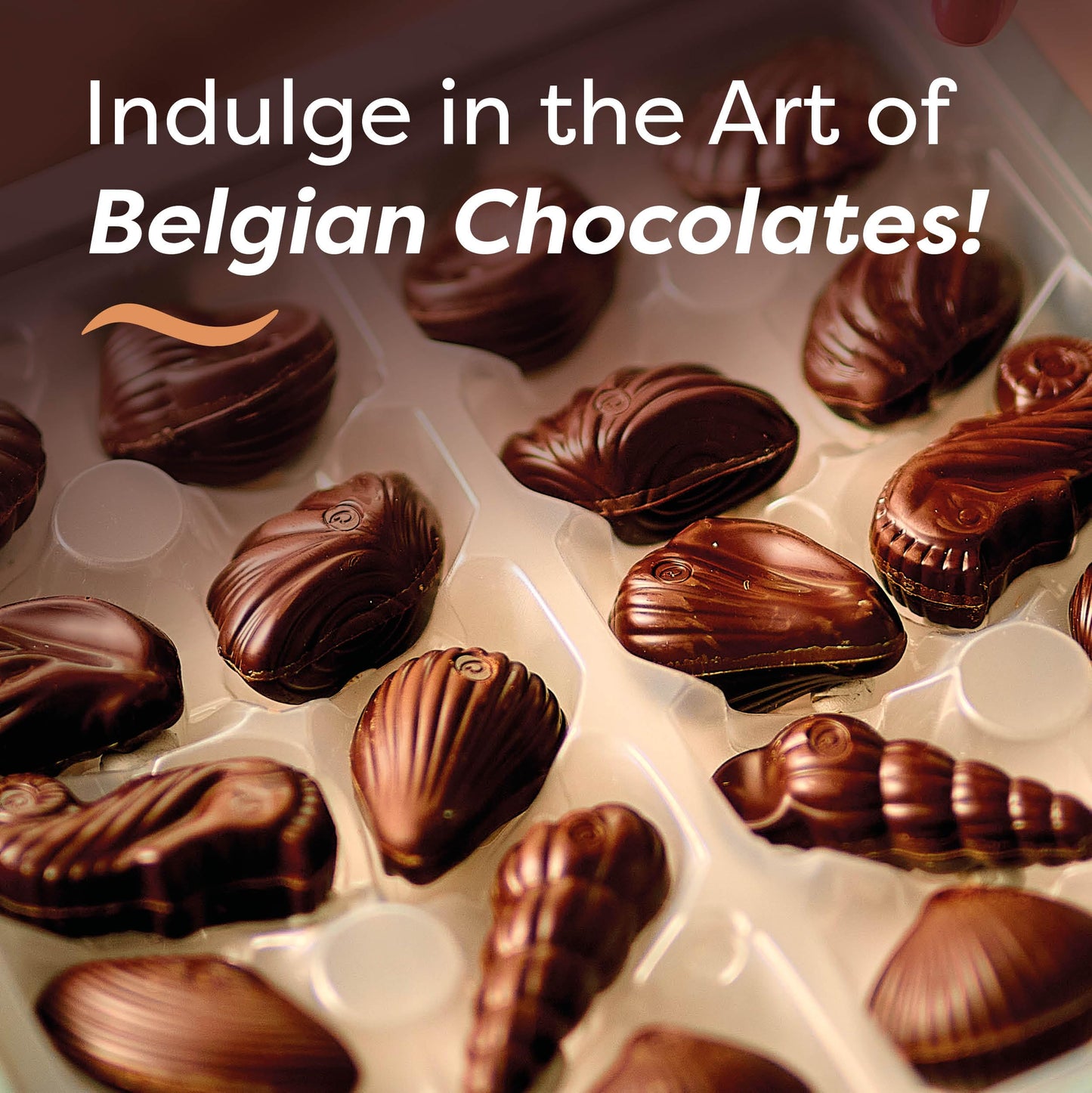 Belgian Dark Chocolate Gift Box, 7.94 oz, 20 pc Gourmet Hazelnut Praliné Seashells by GuyLian, 72% Cocoa Intense Dark Chocolate Candy for Women