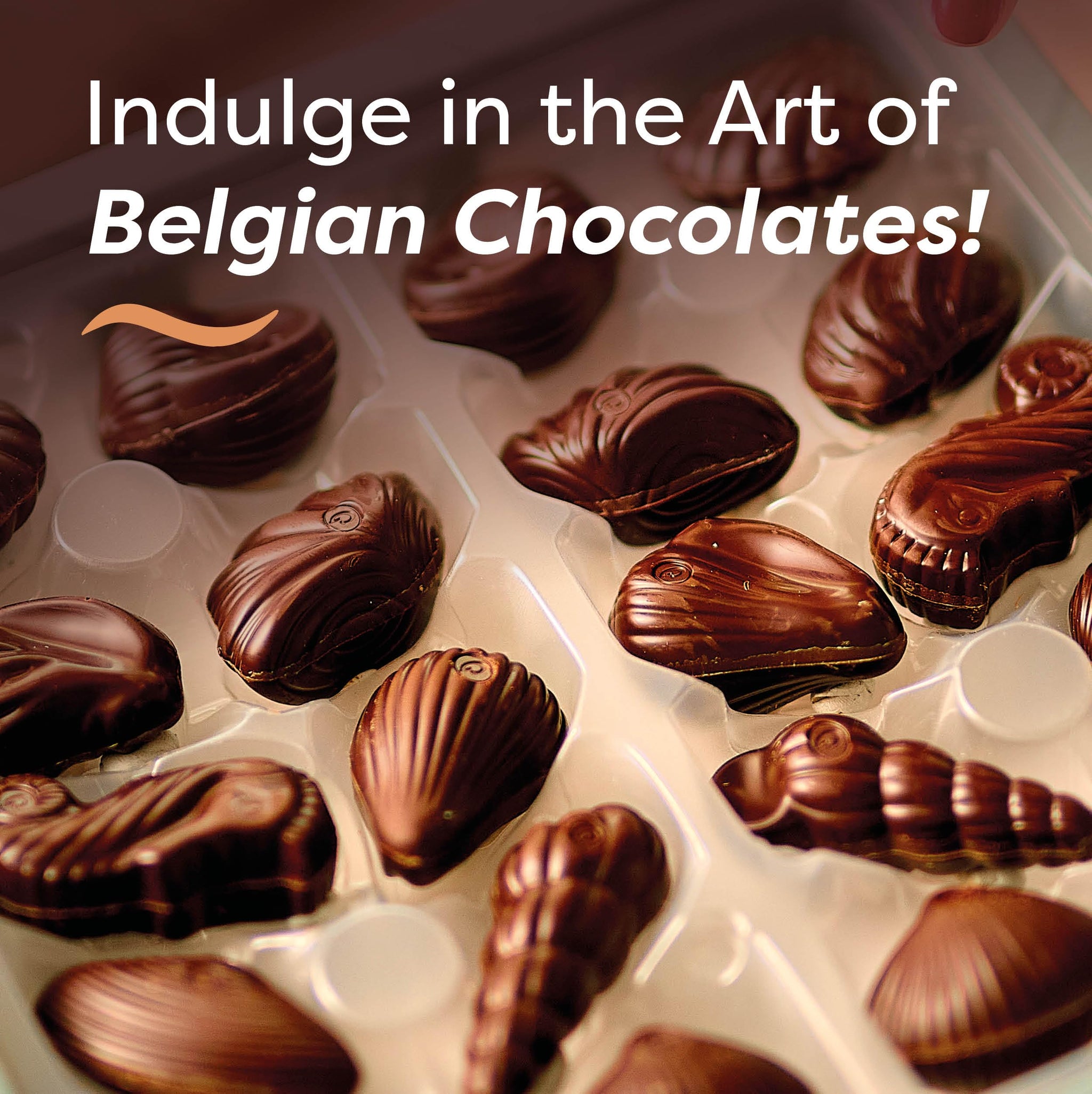 Belgian Dark Chocolate Gift Box, 7.94 oz, 20 pc Gourmet Hazelnut Praliné Seashells by GuyLian, 72% Cocoa Intense Dark Chocolate Candy for Women