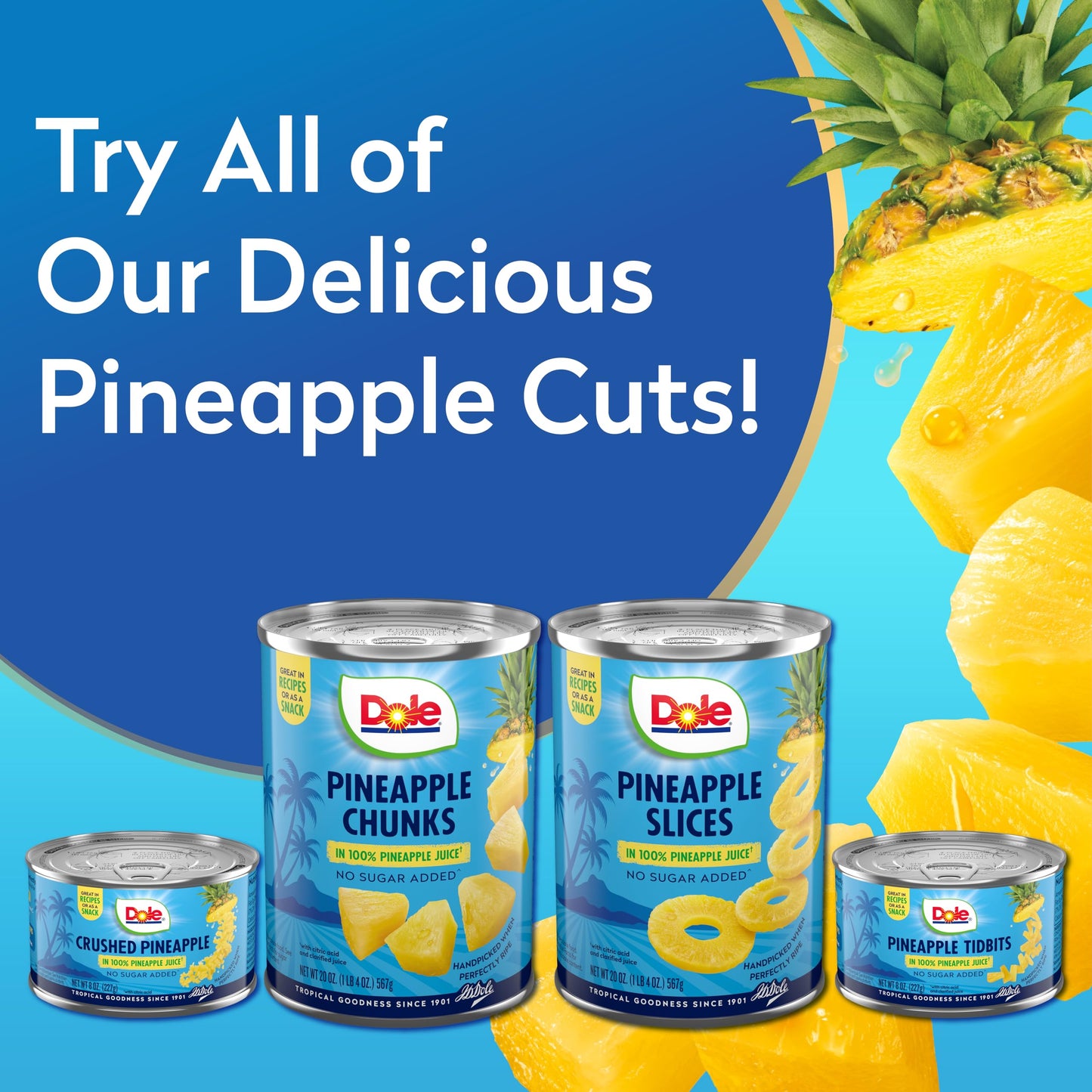 Dole Pineapple Chunks in 100% Pineapple Juice with No Sugar Added - Dole Canned Fruit - 8 oz Cans - 12 Pack