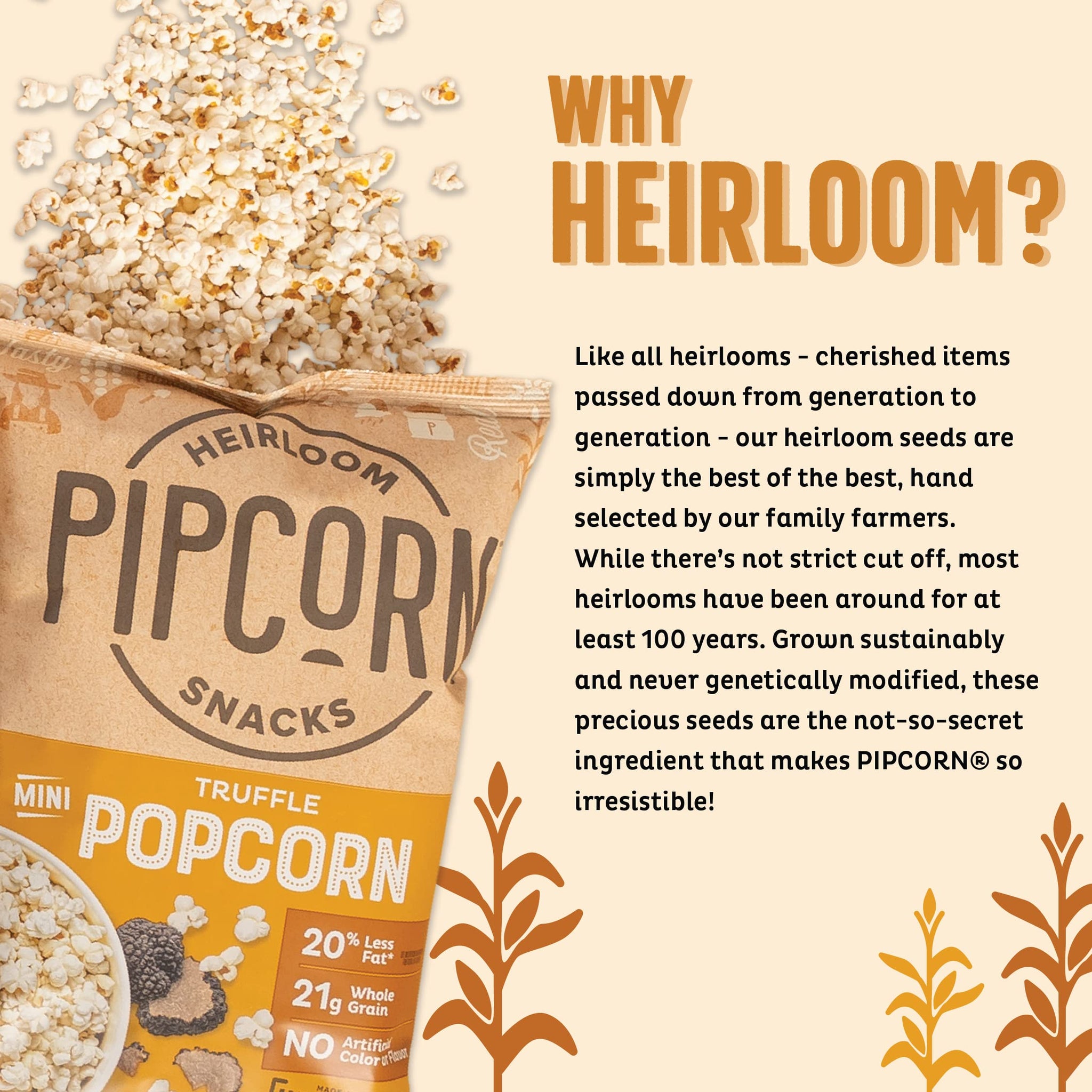 Heirloom Truffle Mini Popcorn by Pipcorn, 4.5 Oz