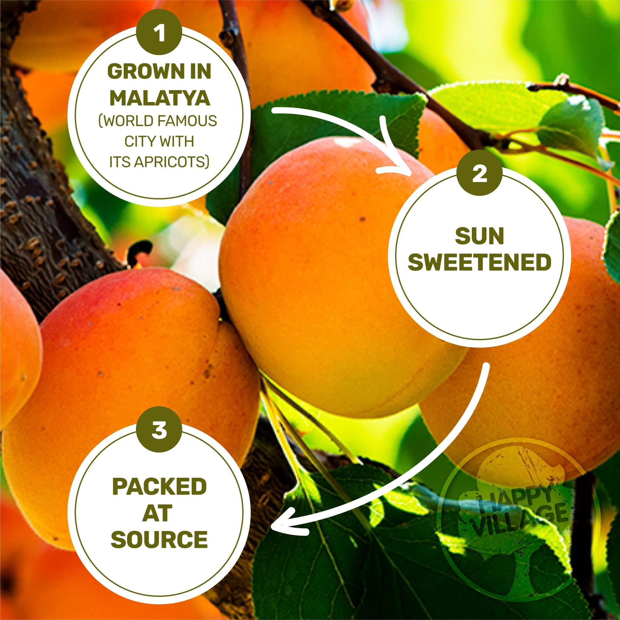 Happy Village Organic Turkish Sun-Dried Apricots, 20 OZ Resealable Bag, No Added Sugar Dried Fruit, USDA Organic, Non-GMO, Kosher, Vegan, Unsulfured