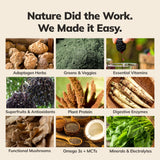 Ka’Chava Whole Body Meal Shake Chocolate - Vegan Protein Powder with 85+ superfoods and ingredients - Plant-Based Meal Replacement with Probiotics