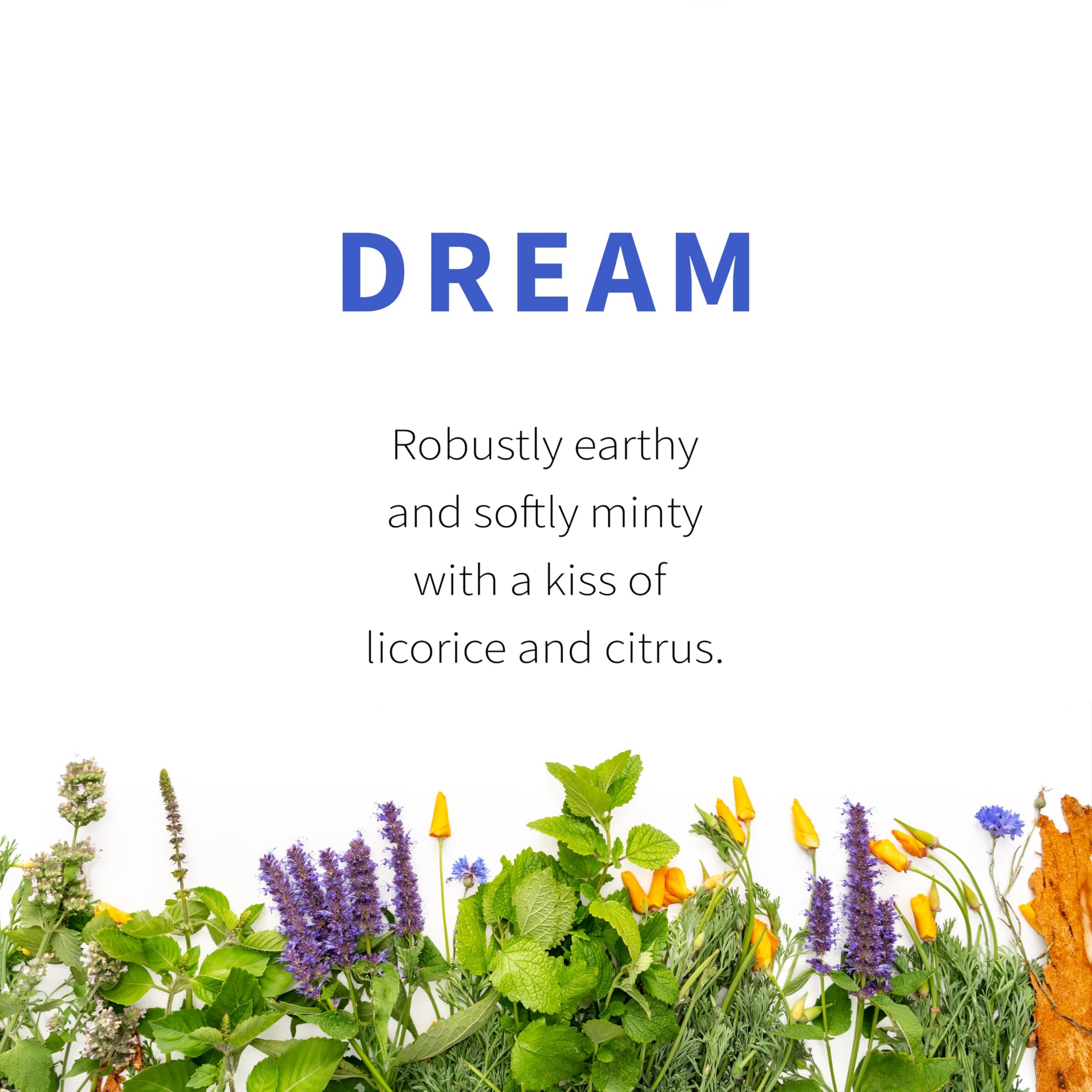 Dream Herbal Tea | Sacred Blossom Farm | 1.9 oz. Loose Leaf Tisane | Promotes Sleep* | Organically Grown in Wisconsin | Herbal Tea & Medicinal Herbs |