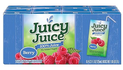 Juicy Juice Berry Juice, 4.23 Ounce -- 40 per case.