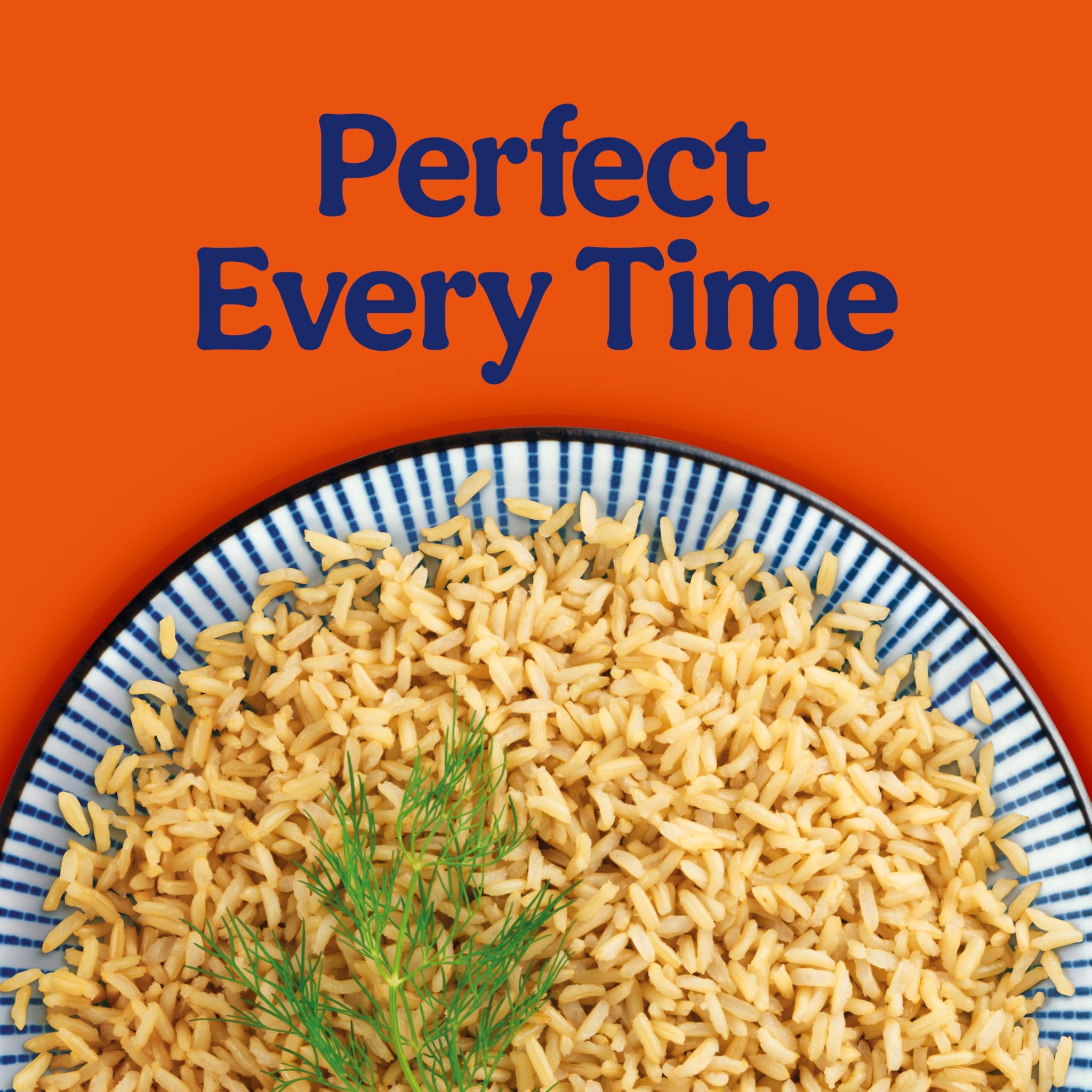 BEN'S ORIGINAL Ready Rice Brown Basmati Rice, Easy Side Dish, 8.5 oz Pouch