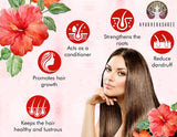 AYURVEDASHREE Hibiscus Flower Powder 200 Gm I Hibiscus Sabdariffa I Gurhal Phool Powder I Hair Mask I Refreshing Tea I Natural Herb I NON GMO I Vegan