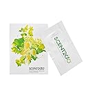 Scent2Go Toilet Odor Eliminator Powder - Before-You-Go Bathroom Deodorizer - Travel Size Single-Use Packets - No Spray, No Bottle, No Leak