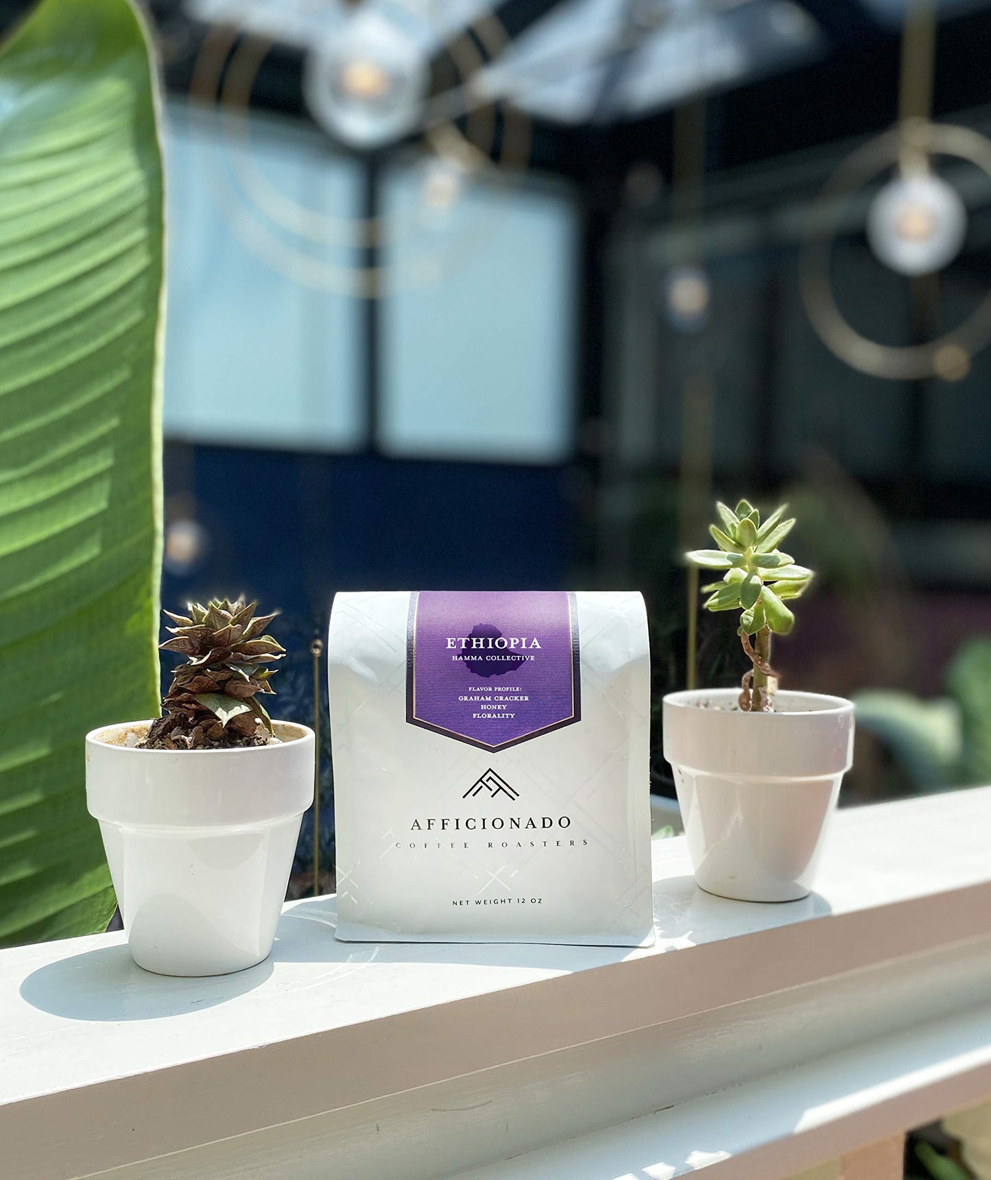 Afficionado Coffee Roasters | Medium Roast Arabica Coffee | 12 Ounce Bag (Ethiopia Hamma Collective, Whole Bean)