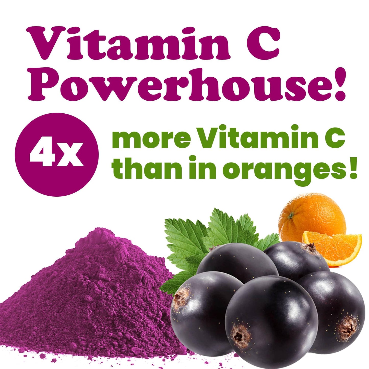 Food to Live - Currant Juice Powder, 4 Ounces - Antioxidant Powerhouse, Vegan Superfood. Unsweetened. Great for Juices. Contains Maltodextrin. Kosher