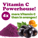 Food to Live - Currant Juice Powder, 4 Ounces - Antioxidant Powerhouse, Vegan Superfood. Unsweetened. Great for Juices. Contains Maltodextrin. Kosher