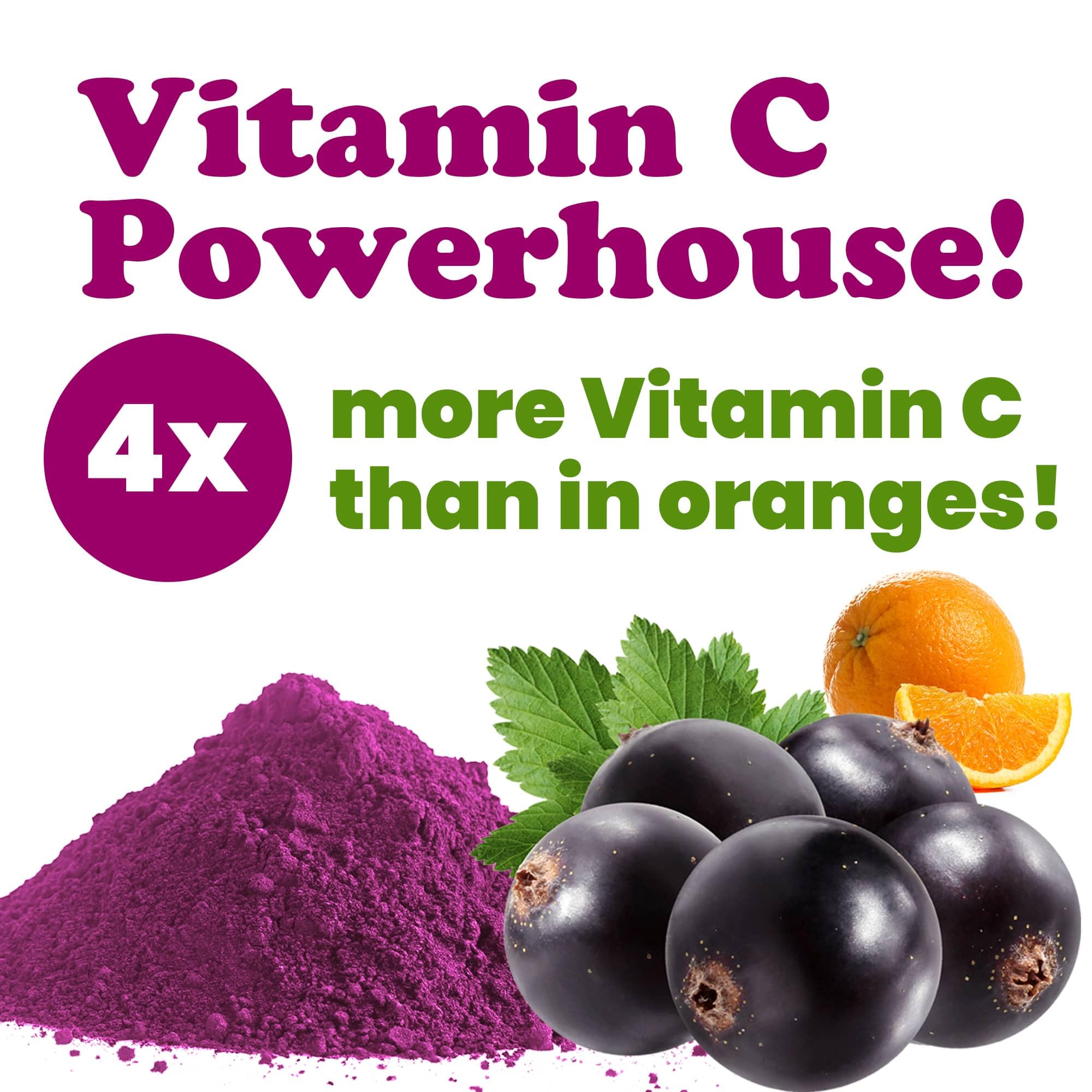 Food to Live - Currant Juice Powder, 4 Ounces - Antioxidant Powerhouse, Vegan Superfood. Unsweetened. Great for Juices. Contains Maltodextrin. Kosher