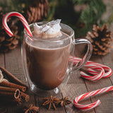 Candy Canes Peppermint Flavor - Individually Wrapped Classic Red And White - 2 Boxes of 12 (Total 24) Bulk Candy Canes - Perfect Christmas Holiday