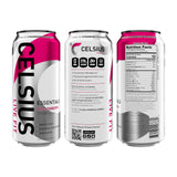 CELSIUS ESSENTIALS™ Sparkling Dragonberry, Sugar Free Performance Energy Drink, 16 Fl Oz (Pack of 12)