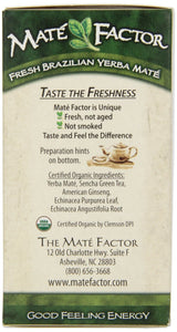 Mate Factor Tea Mate' - Green Ginsing, 20 Count