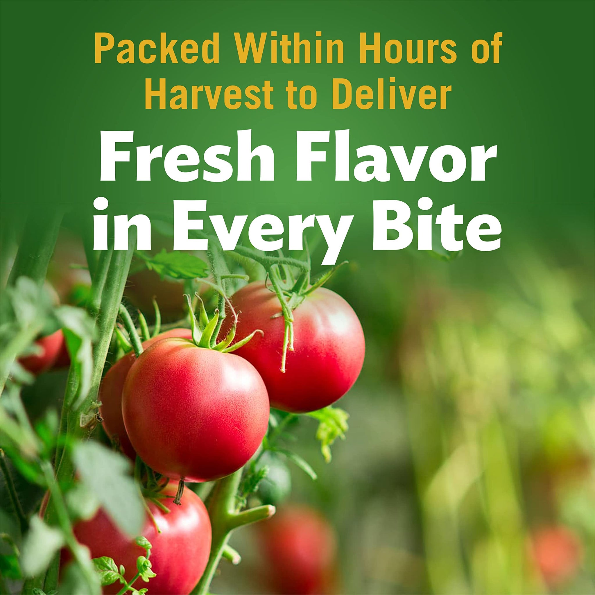 Del Monte Original Recipe Stewed Tomatoes with Onions, Celery & Green Peppers, Canned Tomatoes, 14.5 oz Can