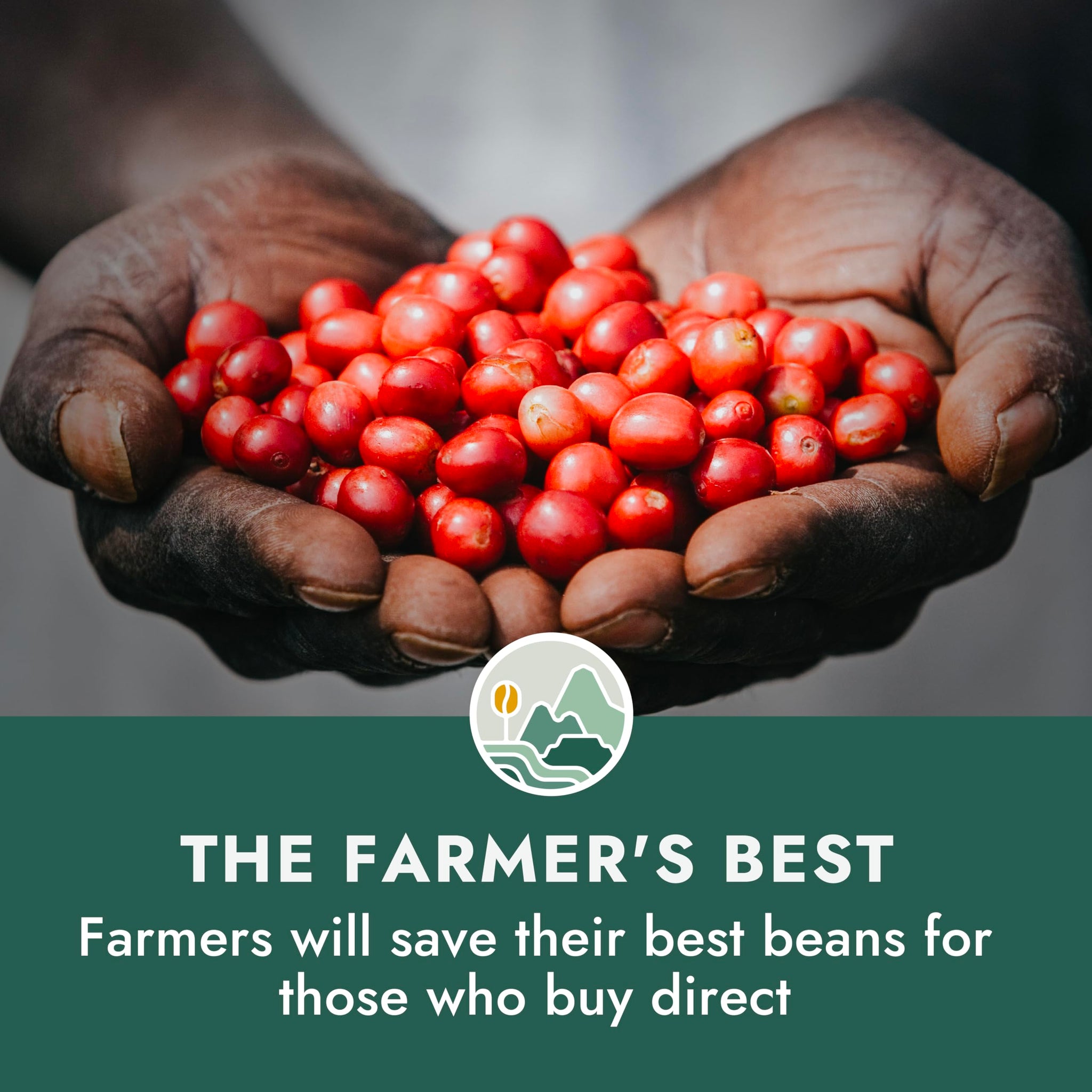 Pachamama Organic Coffee - Farmer's Blend Dark Roast Whole Bean Coffee - 2 lb - Farmer Owned & Regenerative