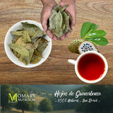 Guanábana Leaves Herbal Tea - Soursop Leaves (Annona muricata) - Jumbo Size - Net Wt. 113 g (4 oz) - 100% Natural, Hand-Selected, Sun-Dried Leaves