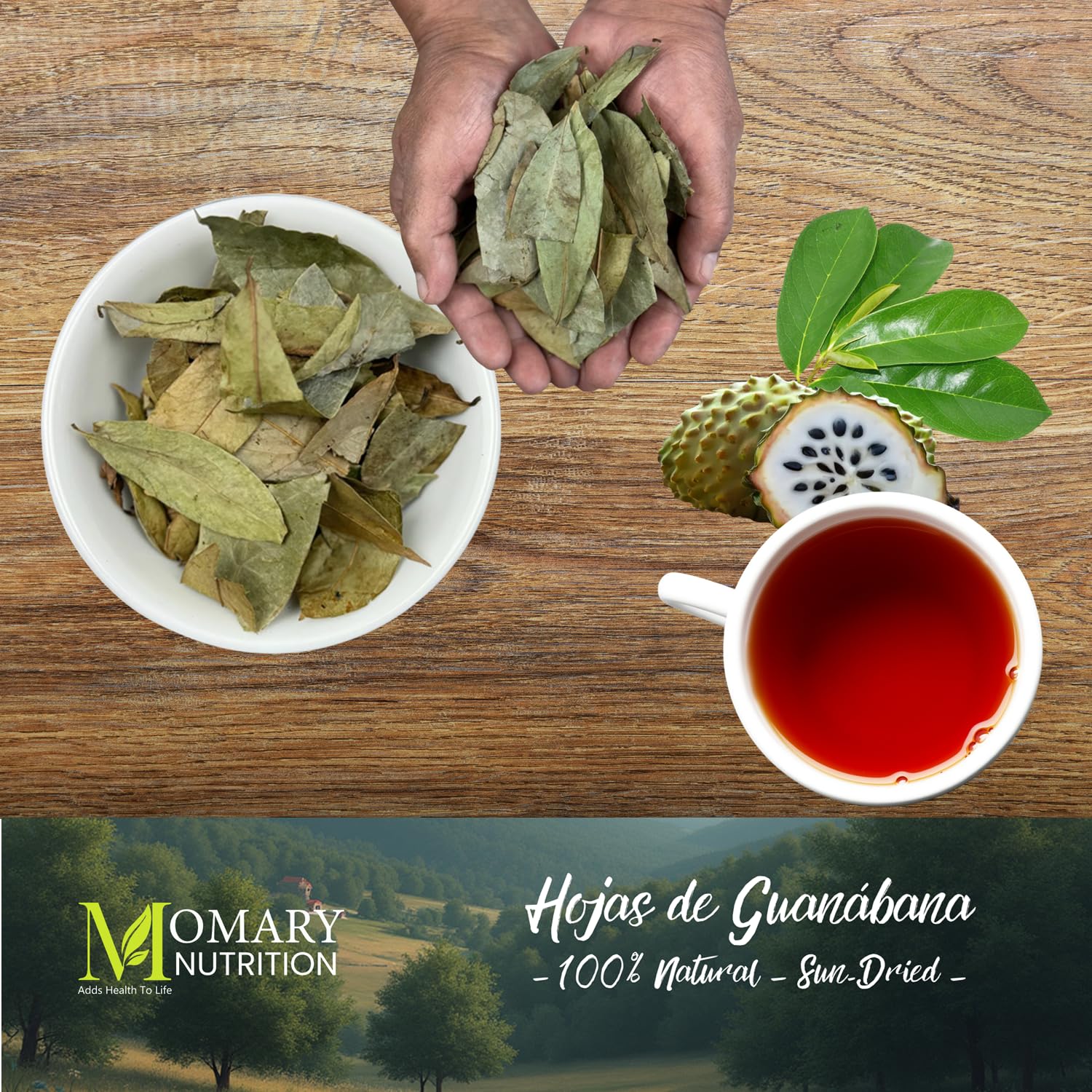 Guanábana Leaves Herbal Tea - Soursop Leaves (Annona muricata) - Jumbo Size - Net Wt. 113 g (4 oz) - 100% Natural, Hand-Selected, Sun-Dried Leaves