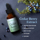 Best Botanicals Cedar Berry Extract 1 oz.