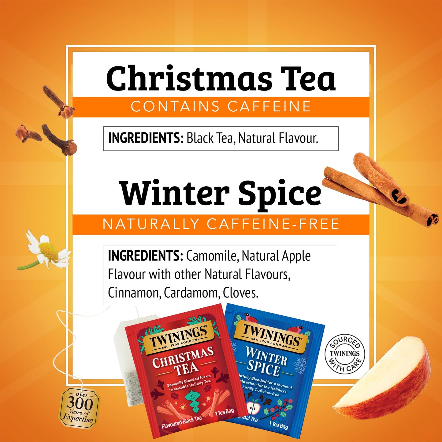 Twinings Holiday Variety Pack Tea Bags, Christmas Tea and Winter Spice, 20 Count (Pack of 4), Enjoy Hot or Iced, 80 Teabags