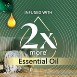 AIR WICK Scented Oil - Vibrant Refill Rainforest Kiwi & Passionfruit 5 ct.