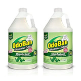 OdoBan Disinfectant Concentrate and Odor Eliminator, 2 Gallons, Original Eucalyptus Scent