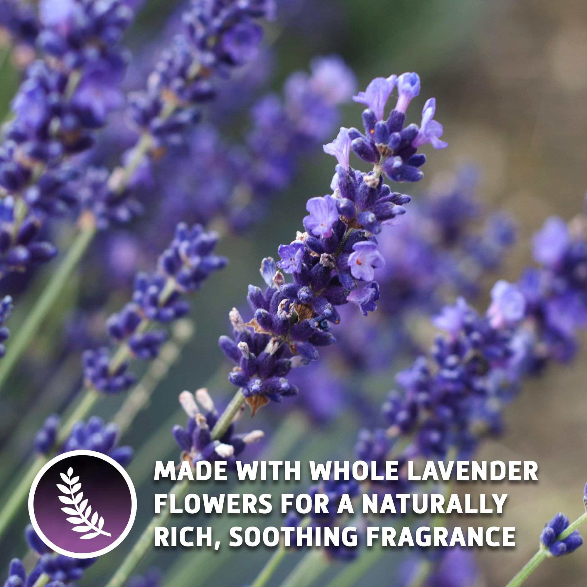 Sou Zen Earl Grey Lavender Loose Leaf Tea Blend 4oz | Ceylon Black Tea with Bergamot Oil and Lavender Flowers | Aromatic Black Tea Blend | Resealable