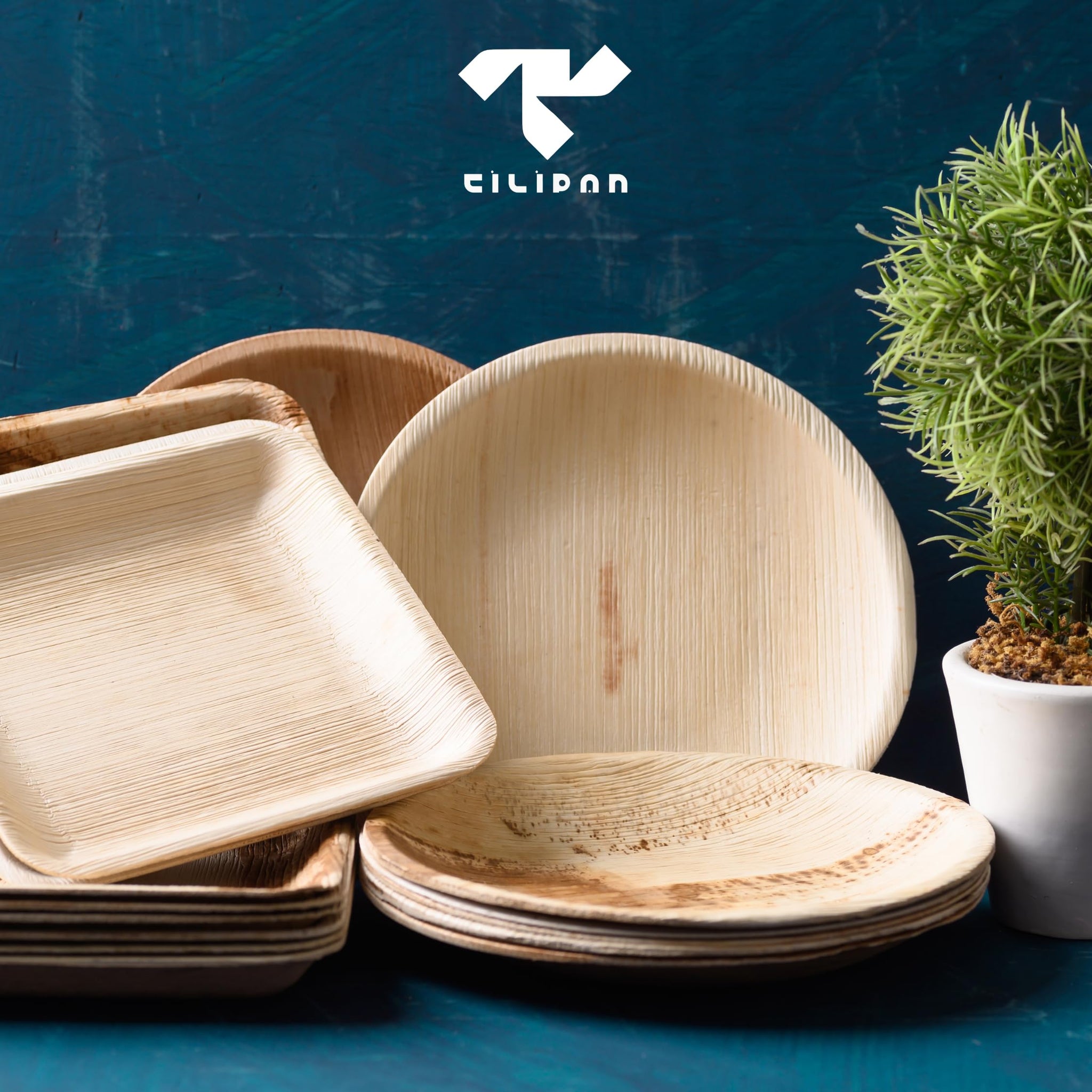 Tilipan Plam Leaf Disposable Plates 10 Inches (50 Count) Like Bamboo Plates,Compostable & Biodegradable,Better than Plastic Plates-Heavy-Duty