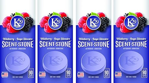 Sterling Teal (K16018-4) K29 'Wild Berries' Stone Air Freshener, (Pack of 4)