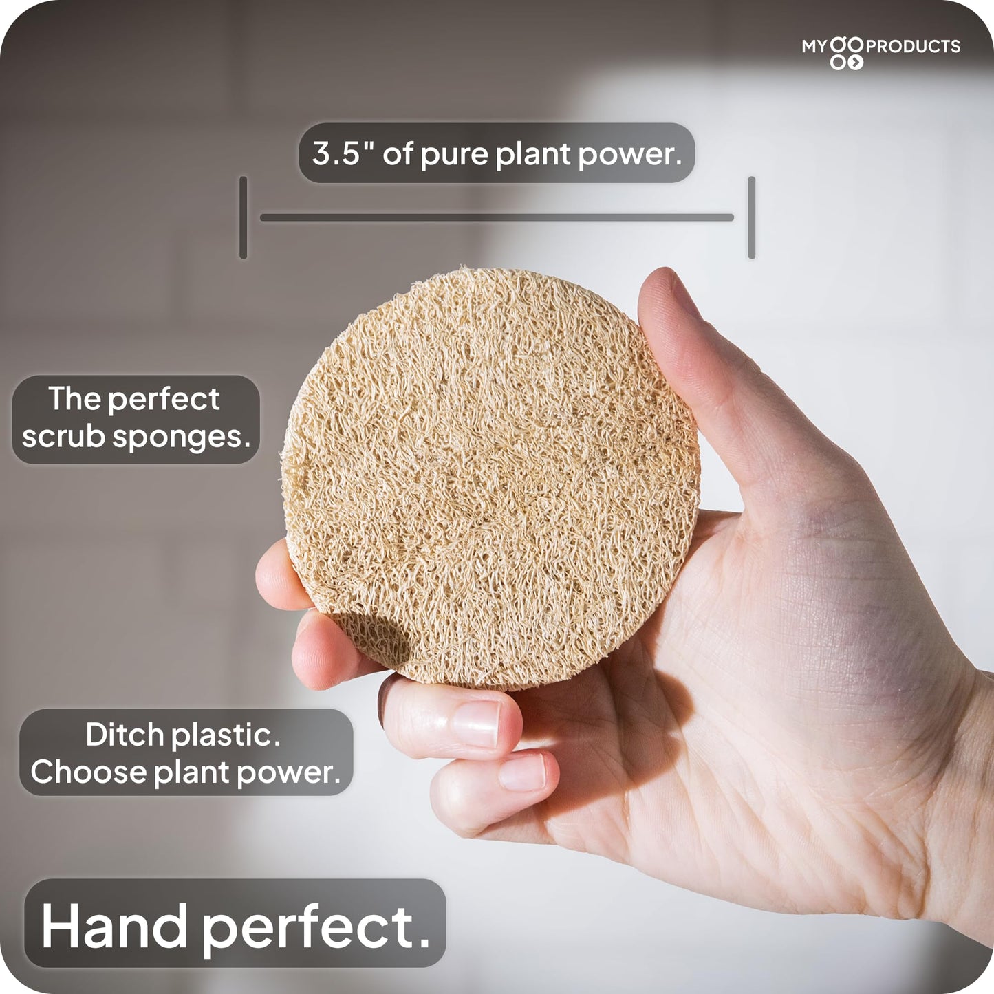 LoofaGO (10-Pack) Natural Loofah Sponges - 100% Biodegradable, Compostable & Plastic-Free, Non-Scratch Scrubbers for Kitchen, Dishes & Bath