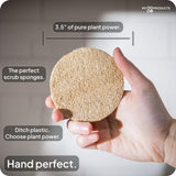 LoofaGO (10-Pack) Natural Loofah Sponges - 100% Biodegradable, Compostable & Plastic-Free, Non-Scratch Scrubbers for Kitchen, Dishes & Bath