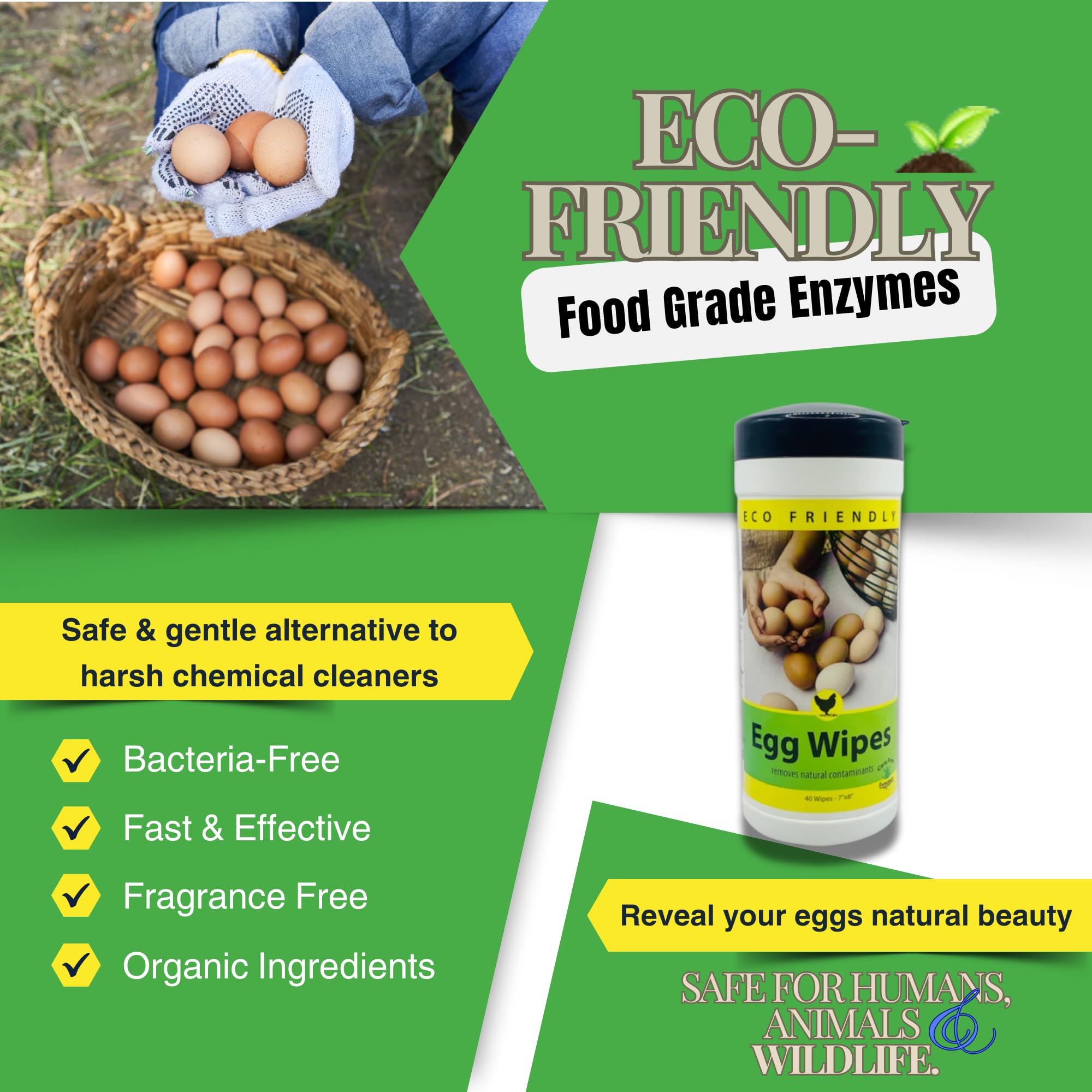 Care Free Enzymes Egg Wipes - 40 Count