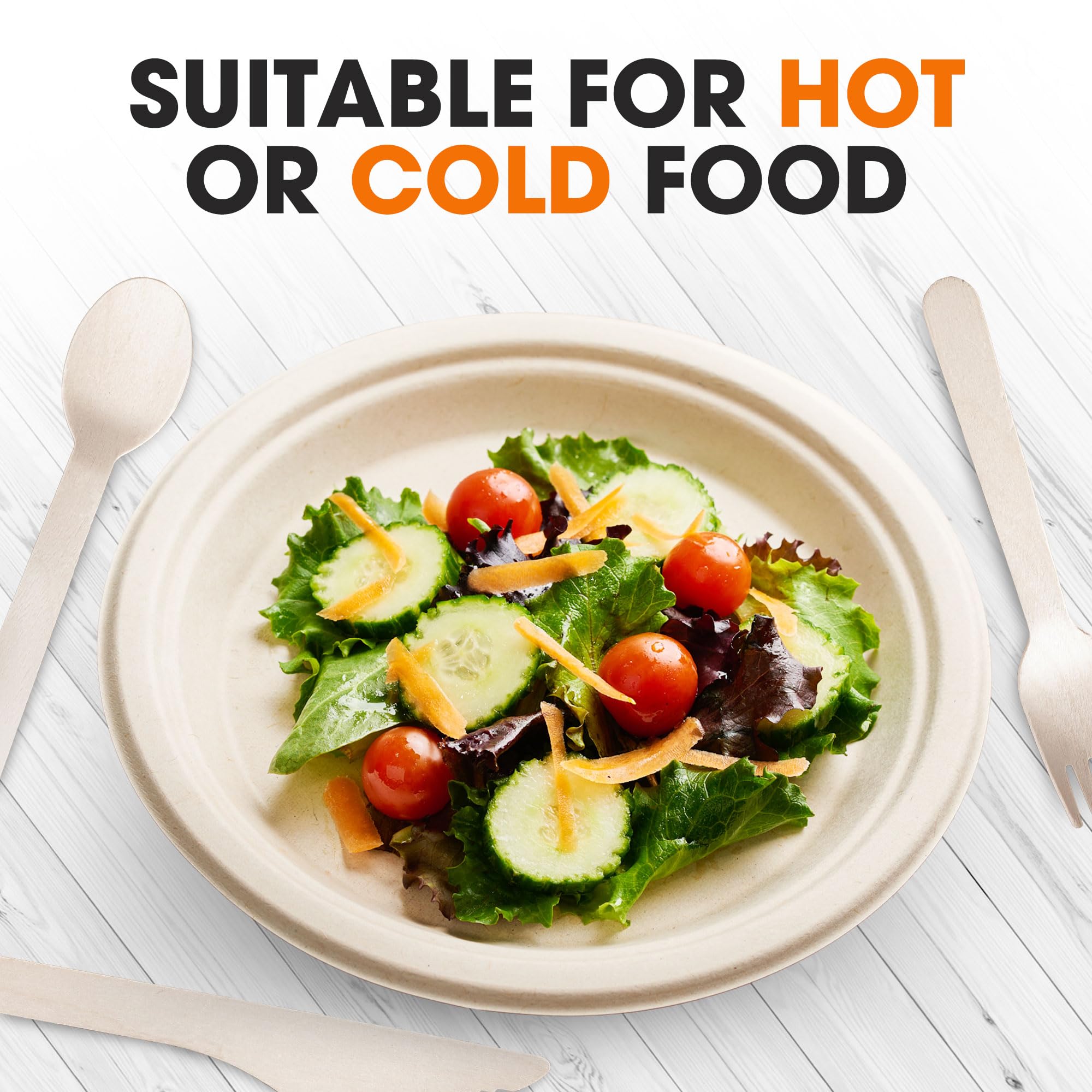 Cheer Collection 9 inch Compostable Plates - 100% Biodegradable Plates | 100% Eco Friendly & Disposable 9 inch Paper Plates for Hot or Cold Food
