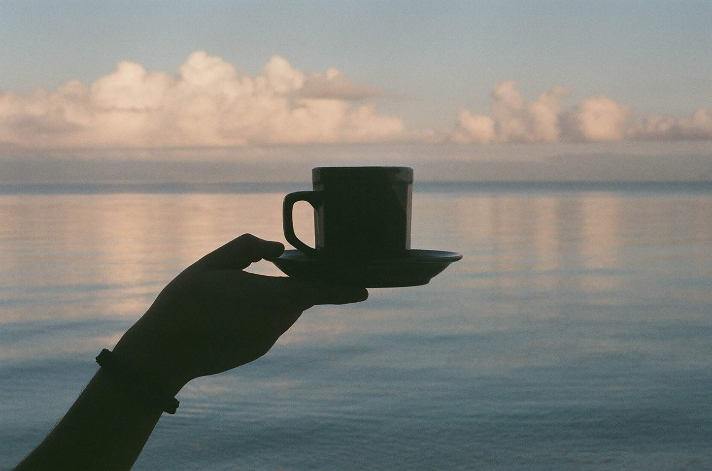 100% Kona Coffee - Whole Bean, Dark roast, Single estate gourmet coffee, 8 ounces, ships direct from Domain Kona Coffee, Farm fresh