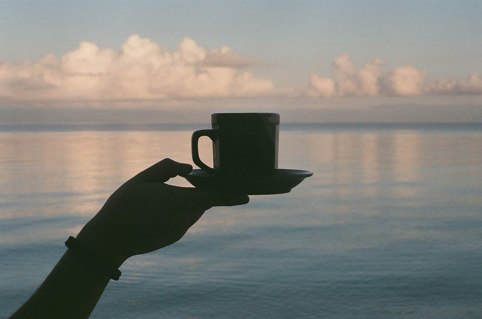 100% Kona Coffee - Whole Bean, Dark roast, Single estate gourmet coffee, 8 ounces, ships direct from Domain Kona Coffee, Farm fresh