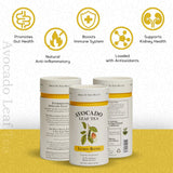 Avocado Leaf Lemon Tea Blend - Caffeine-Free | Healthy Herbal Tea | Immune Booster | Cold Brew or Hot Tea | 15 Tea Bags -30 Servings (Non-GMO)