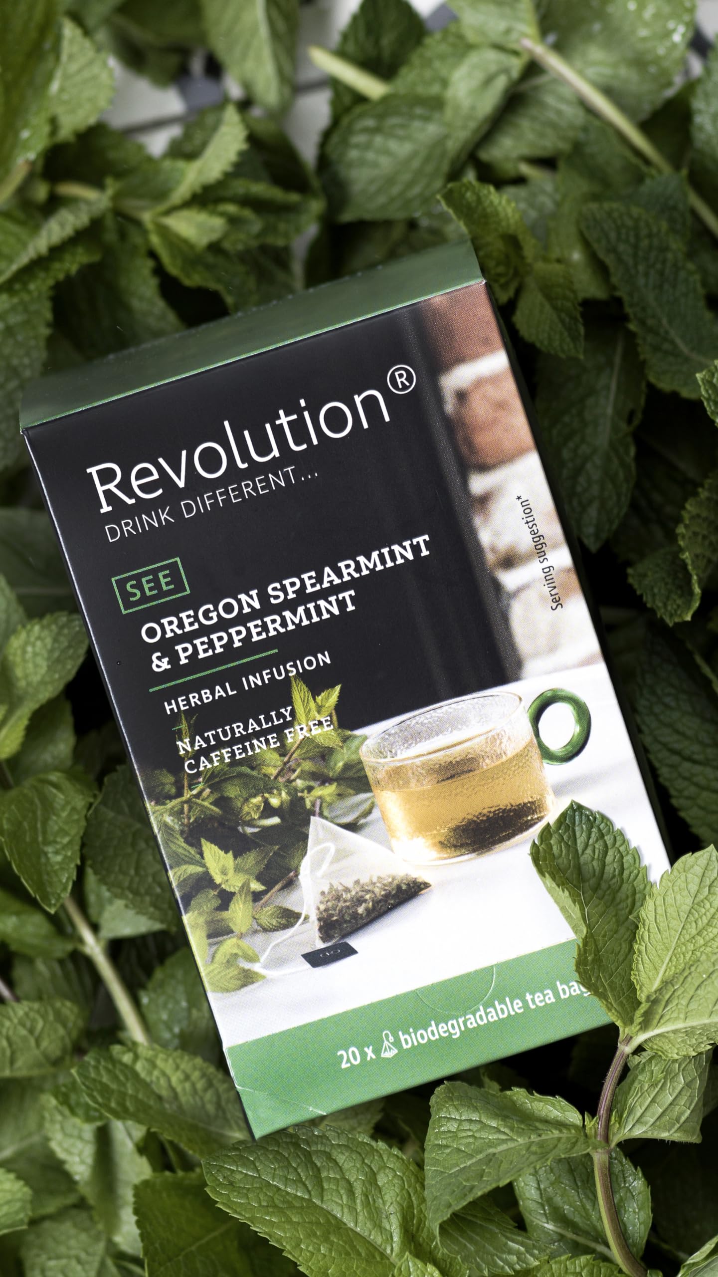 REVOLUTION TEA® Southern Mint [THE ORIGINAL] - Oregon Spearmint & Peppermint - Premium Full Leaf Tea - Biodegradable Infuser Tea Bags - Herbal Tea