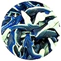 Blue Gummy Sharks Candy, 1 Pound Bulk Bag, The Hampton Popcorn & Candy Company